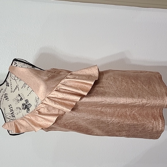ZARA TRAFALUC COLLECTION GOLDROSE DRESS SIZE XS. - Picture 2 of 11